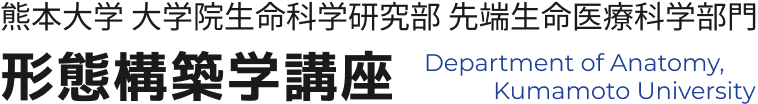 熊本大学 大学院生命科学研究部 先端生命医療科学分野 形態構築学講座