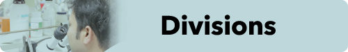 divisions