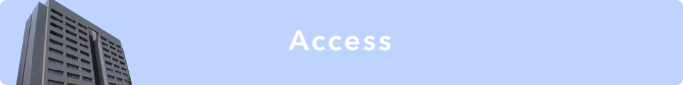 access access