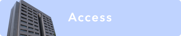 access access