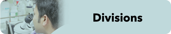 divisions divisions